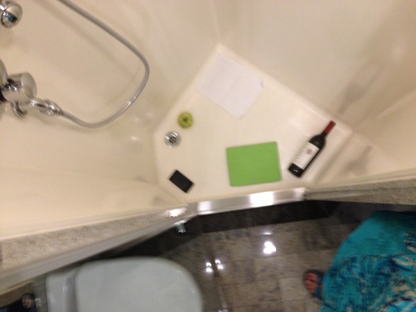 The Shower, with reference objects on the floor - bottle of wine, an iPad, etc. Also had a full bath tub and shower, if you prefer.